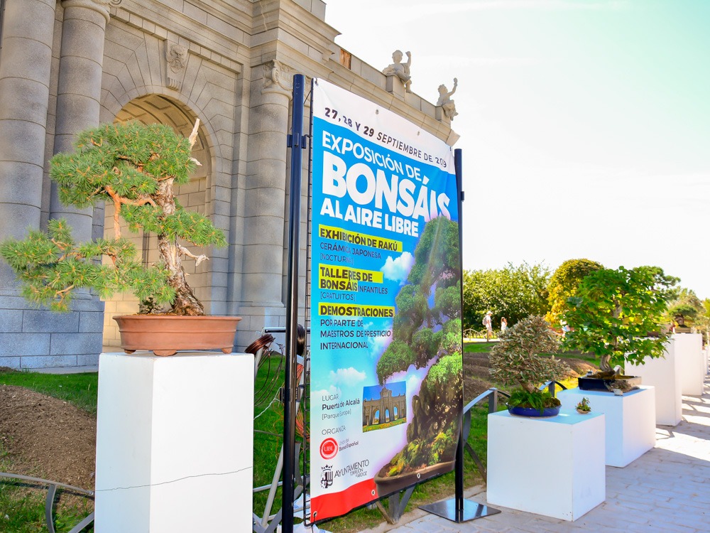 9º Aniversario del Parque Europa - Exposición de bonsáis