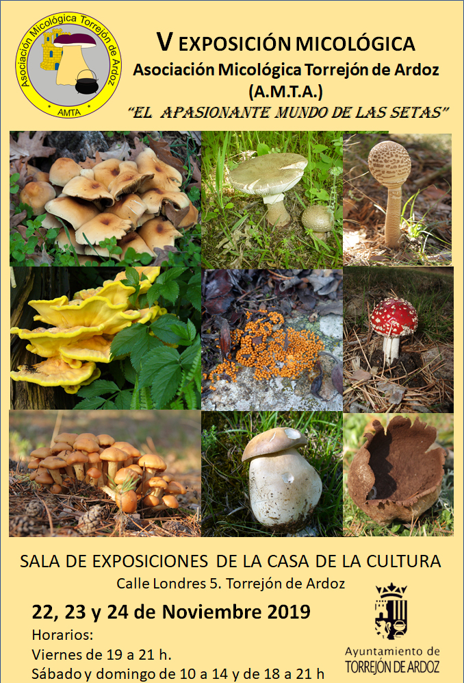 Exposición micológica