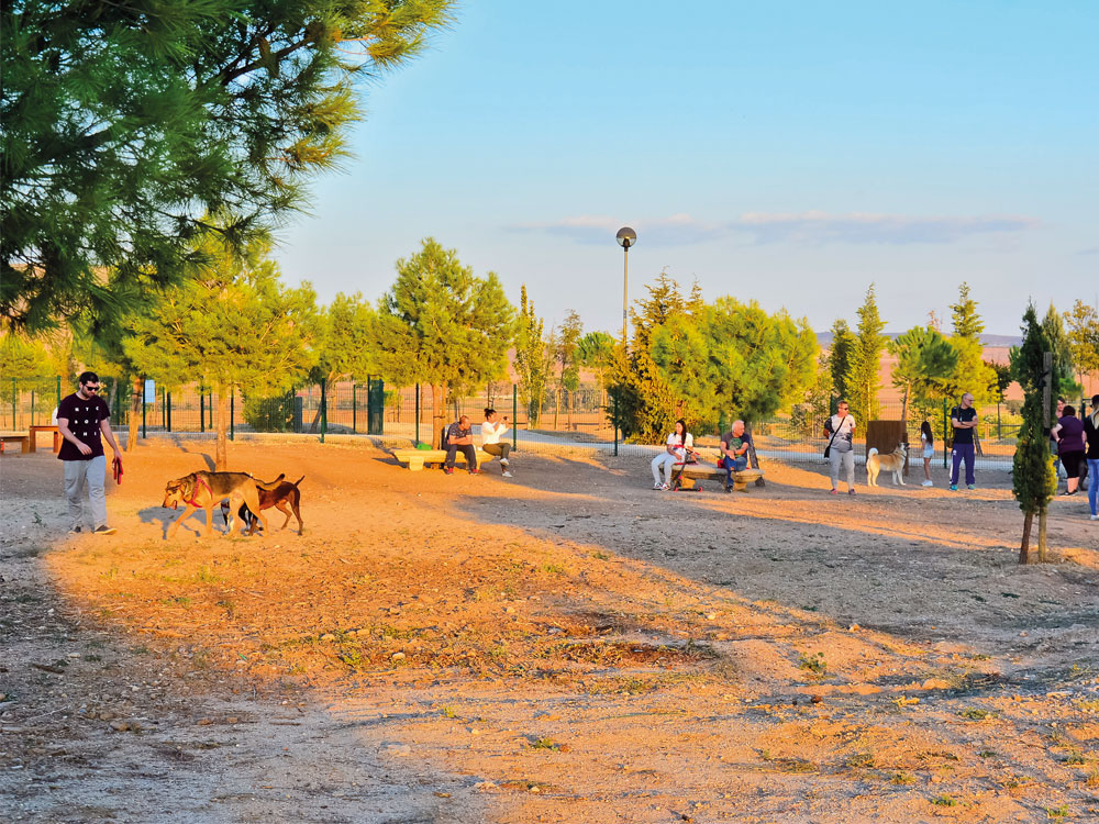 El Ayuntamiento de Torrejón de Ardoz incrementa a 300 euros la sanción por no recoger los excrementos caninos