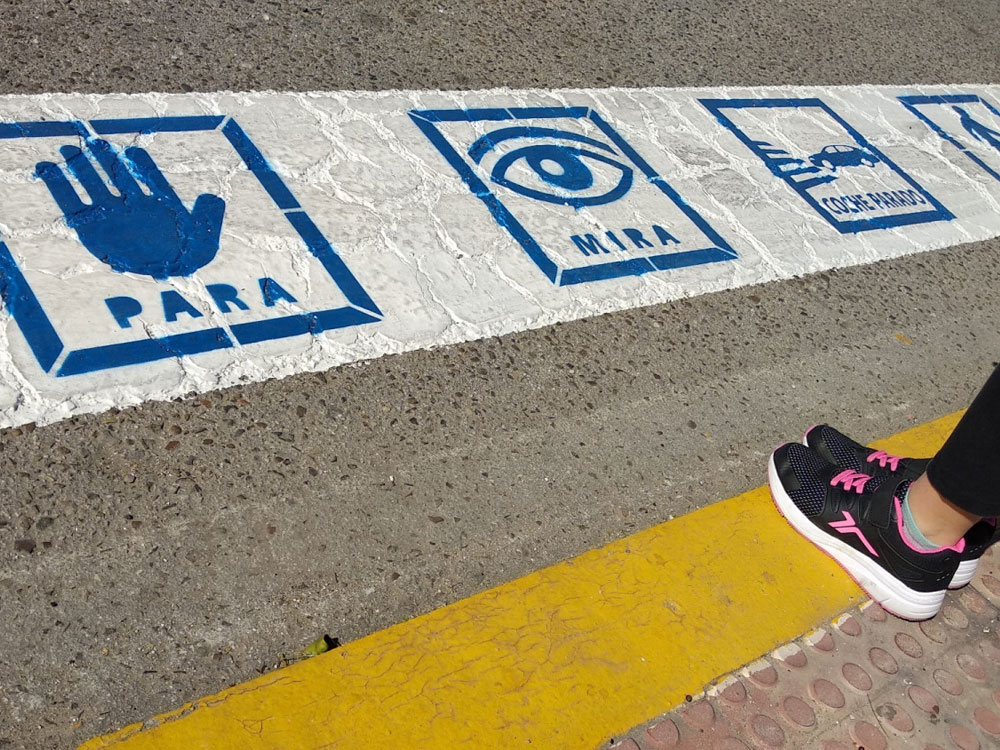 El Pleno del Ayuntamiento de Torrejón de Ardoz aprueba por unanimidad rotular los pasos de peatones situados en los accesos a centros educativos con pictogramas dirigidos, principalmente, a personas con Trastornos del Espectro Autista