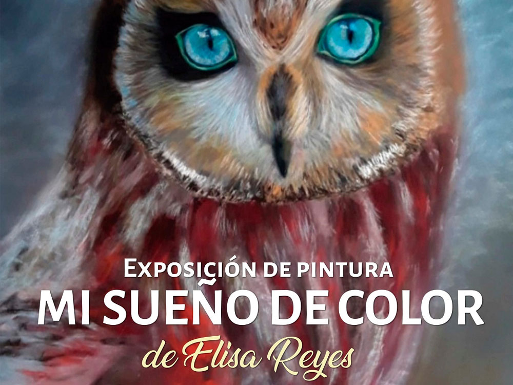 En La Caja del Arte continúa la exposición de pintura “Mi sueño de color”, de Elisa Reyes