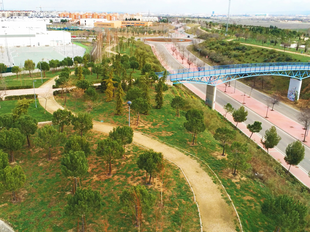 Parque Pinar de Soto