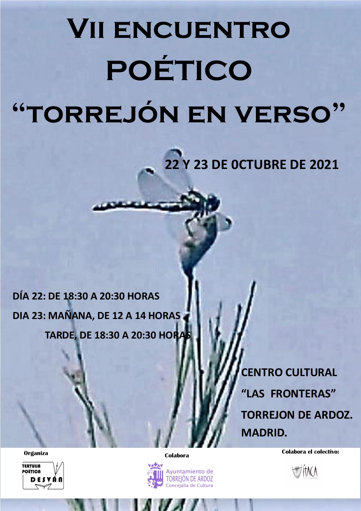 VII encuentro poético "Torrejón en verso"