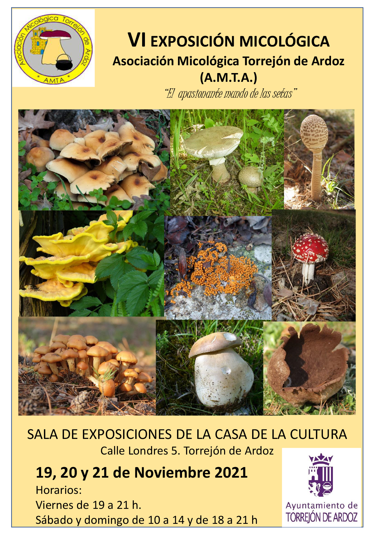 VI Exposición micológica: El apasionante mundo de las setas