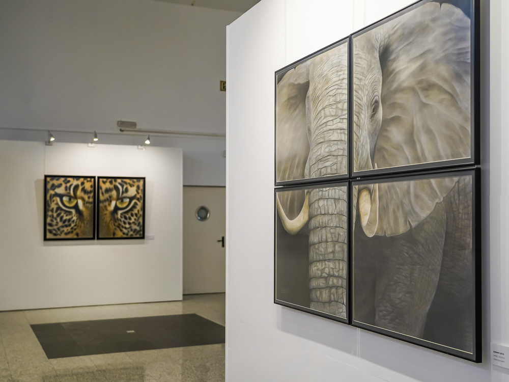 Llegan nuevas exposiciones de pintura, fotografía y escultura a los centros culturales de Torrejón de Ardoz