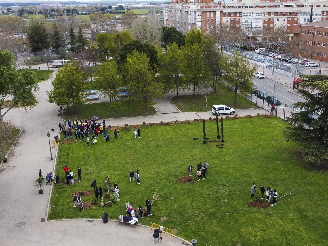Torrejón celebra el Día del Árbol con la plantación de 200 árboles por parte de 600 escolares de la ciudad