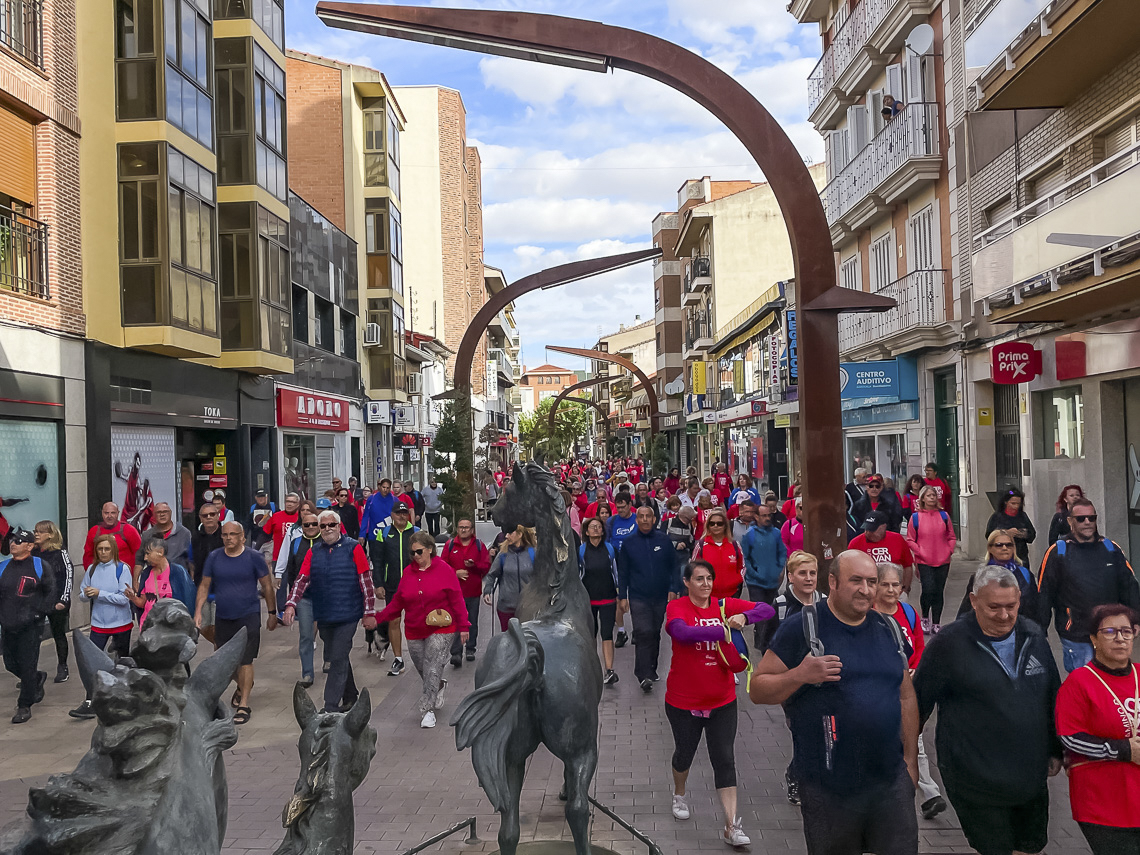 Más de 800 personas participaron en la etapa inaugural del VI Camino de Cervantes, que arrancó ayer con una caminata desde la Plaza Mayor hasta el Hospital Universitario de Torrejón, donde finalizó con una jornada dedicada a la nutrición