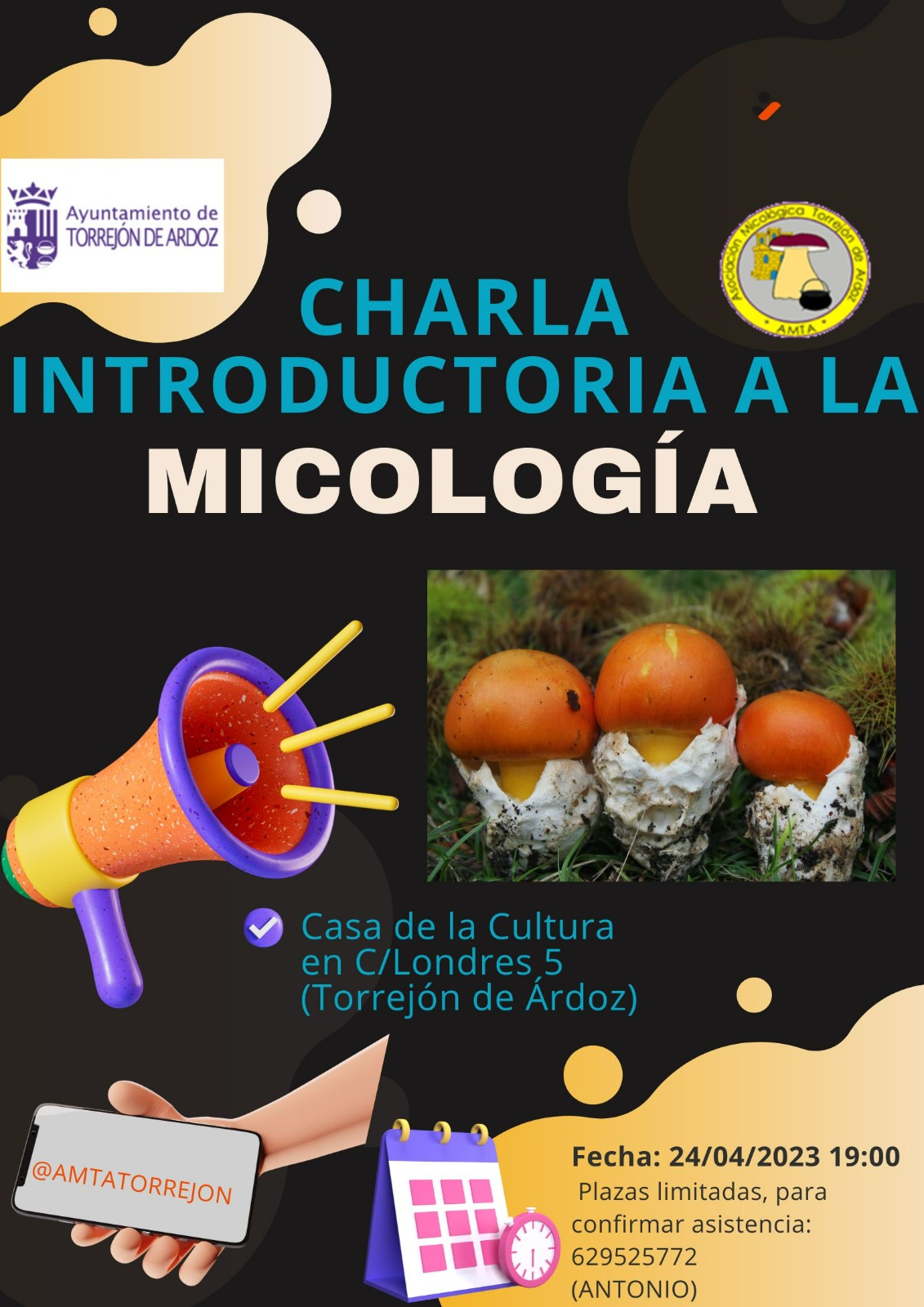 Chara introducción a la micología