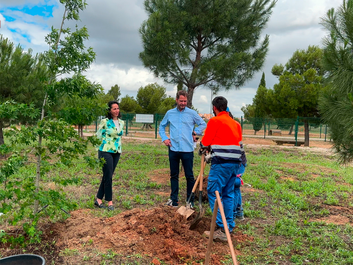 Con los 520 nuevos árboles plantados en el parque Miradores de Soto Henares, en los últimos 4 años Torrejón de Ardoz se ha reforestado con 12.557 árboles nuevos
