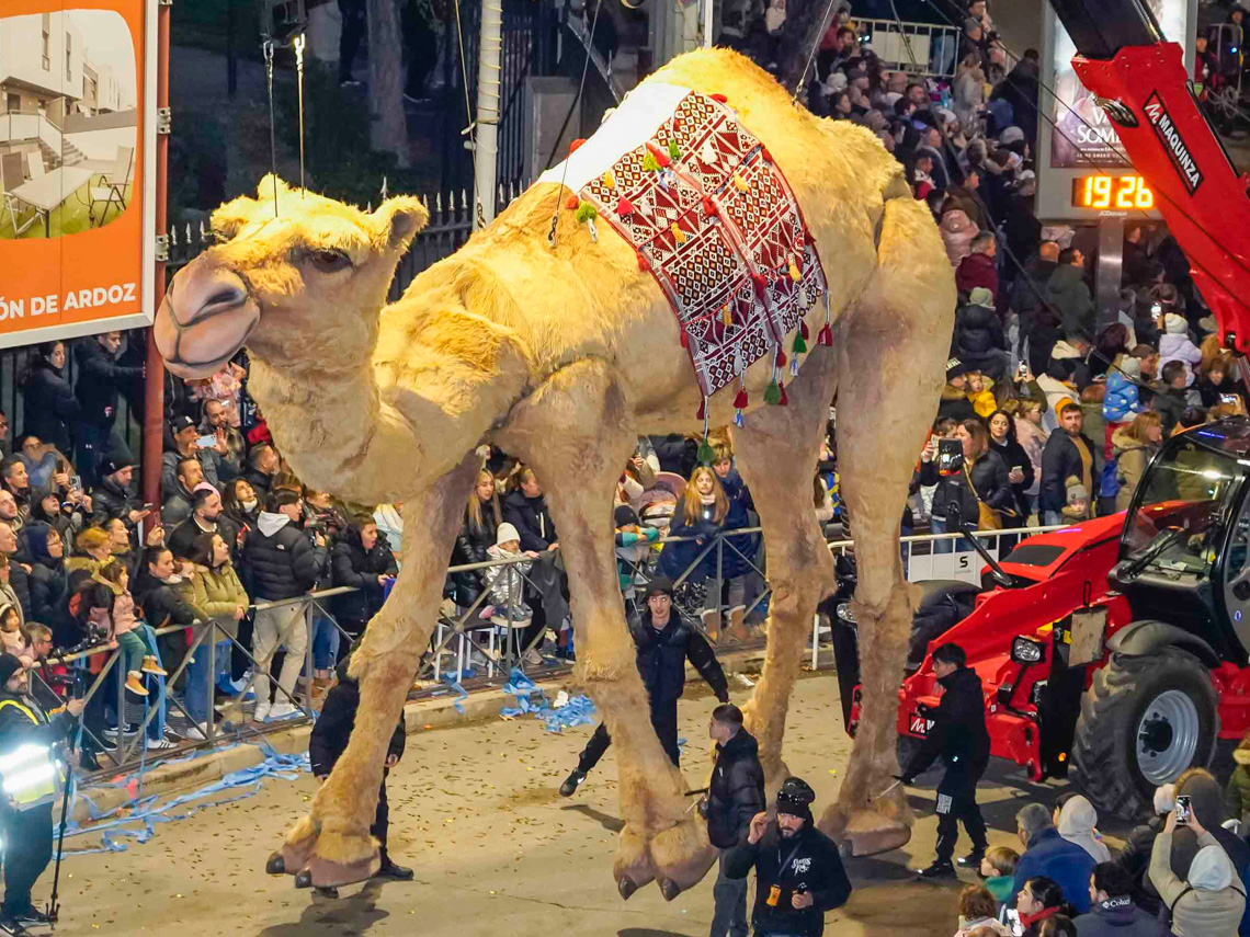 Gran Cabalgata de Reyes de Luz - Camello