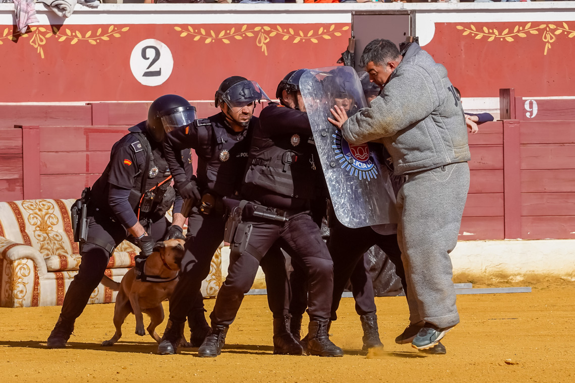 Masiva participación de los torrejoneros en el Día de la Tortilla - Exhición del Grupo Canino de la Policía Local