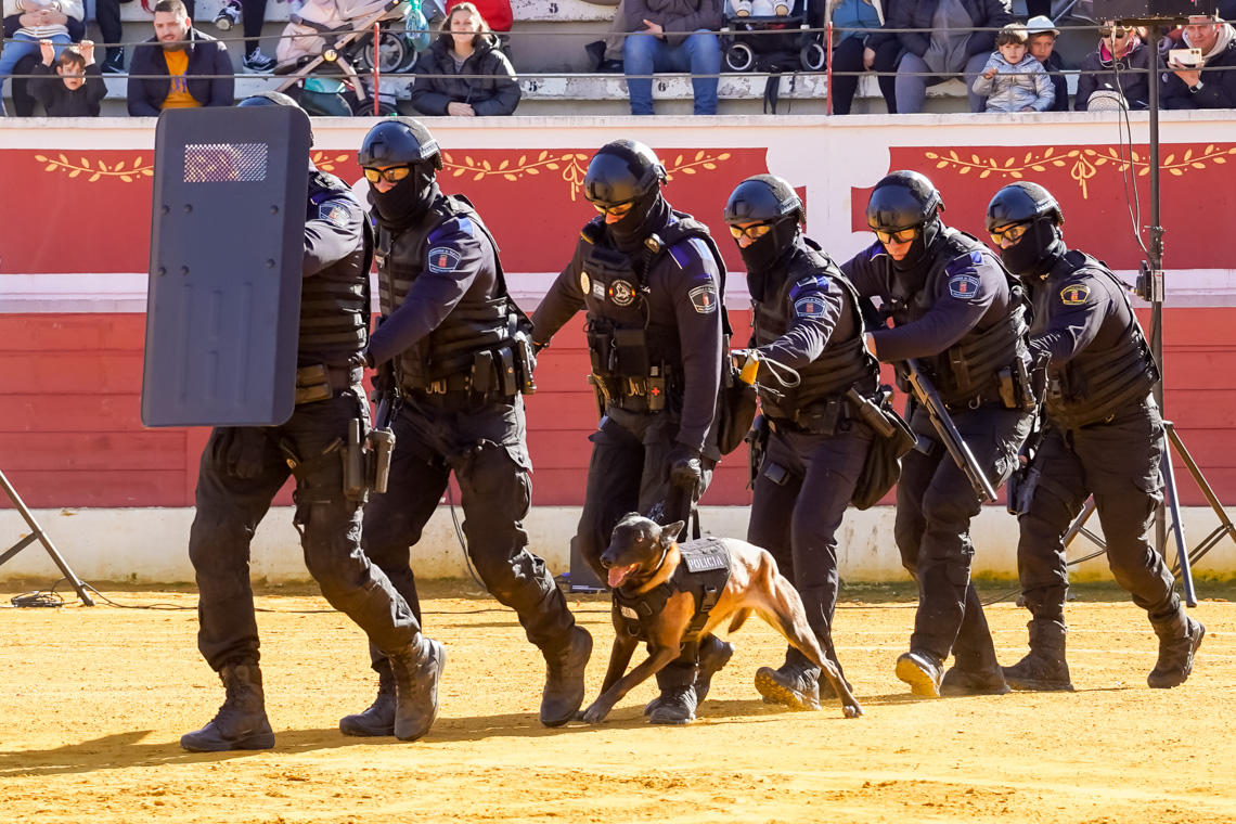 Día de la Tortilla - Exhibición del Grupo Canino de la Policía Local