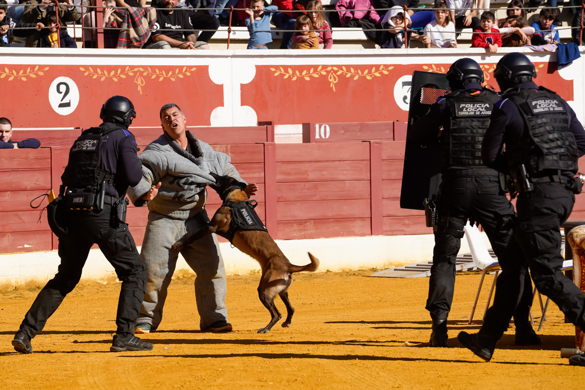 Masiva participación de los torrejoneros en el Día de la Tortilla - Exhición del Grupo Canino de la Policía Local