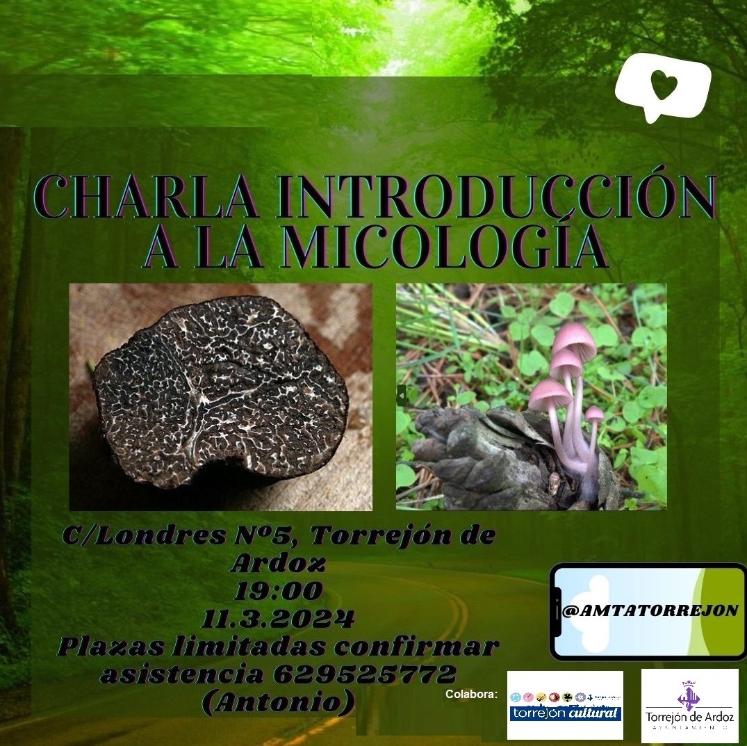 Charla introducción a la micología