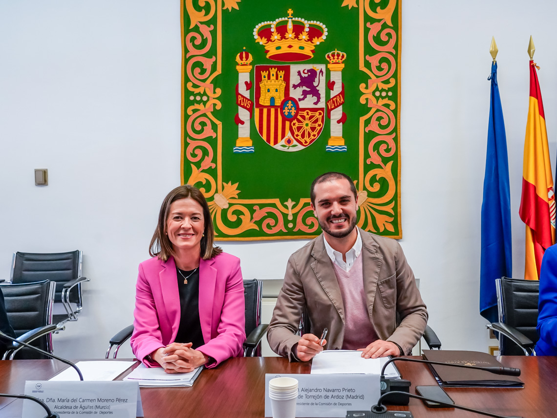 Alejandro Navarro Prieto, alcalde de Torrejón y presidente de la Comisión de Deportes de la Federación Española de Municipios y Provincias, presidiendo la reunión de trabajo