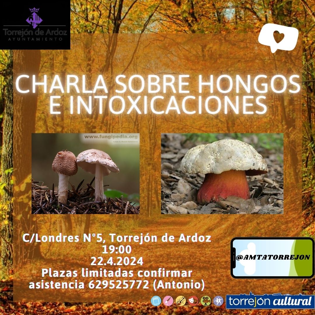 Charla sobre hongos e intoxicaciones