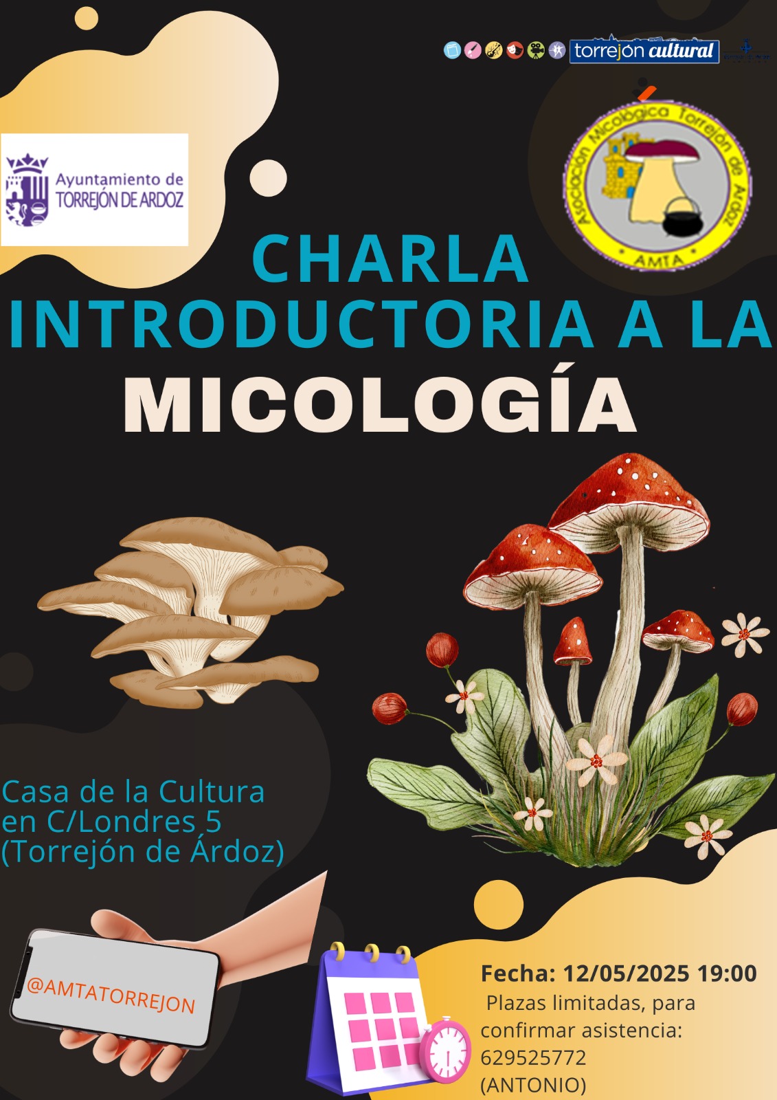 Charla introducción a la micología