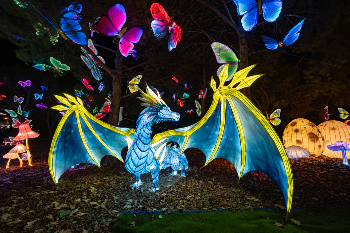 Explora un mundo de ensueño, donde animales brillantes iluminan la noche Explora un mundo de ensueño, donde animales brillantes iluminan la noche