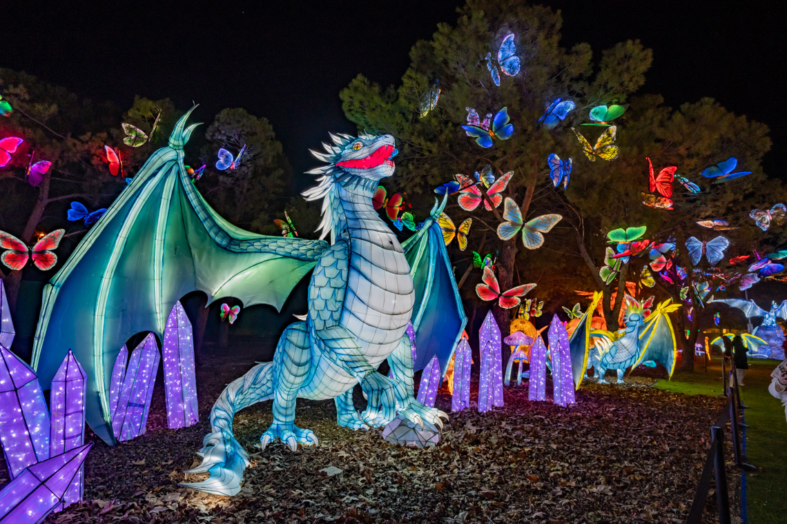 Explora un mundo de ensueño, donde animales brillantes iluminan la noche Explora un mundo de ensueño, donde animales brillantes iluminan la noche