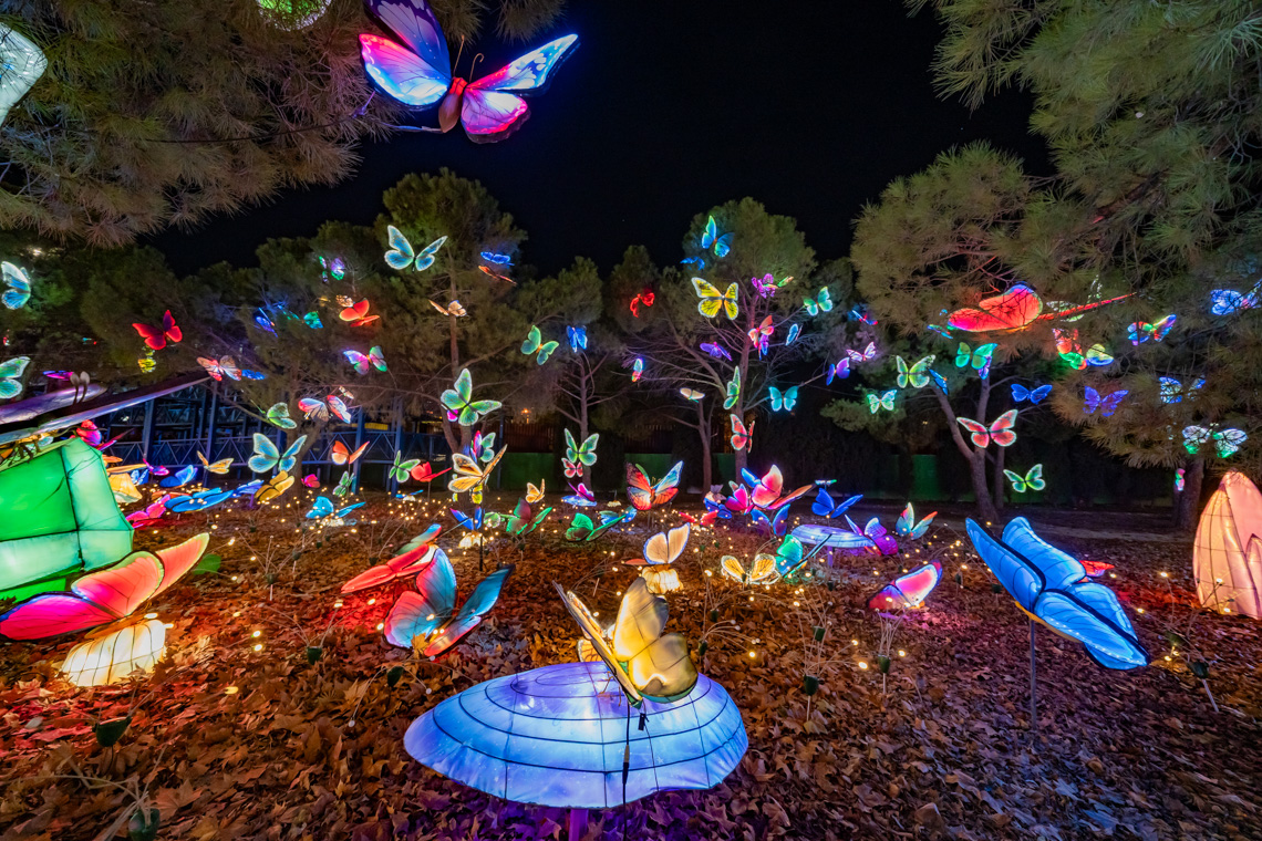 Explora un mundo de ensueño, donde animales brillantes iluminan la noche Explora un mundo de ensueño, donde animales brillantes iluminan la noche