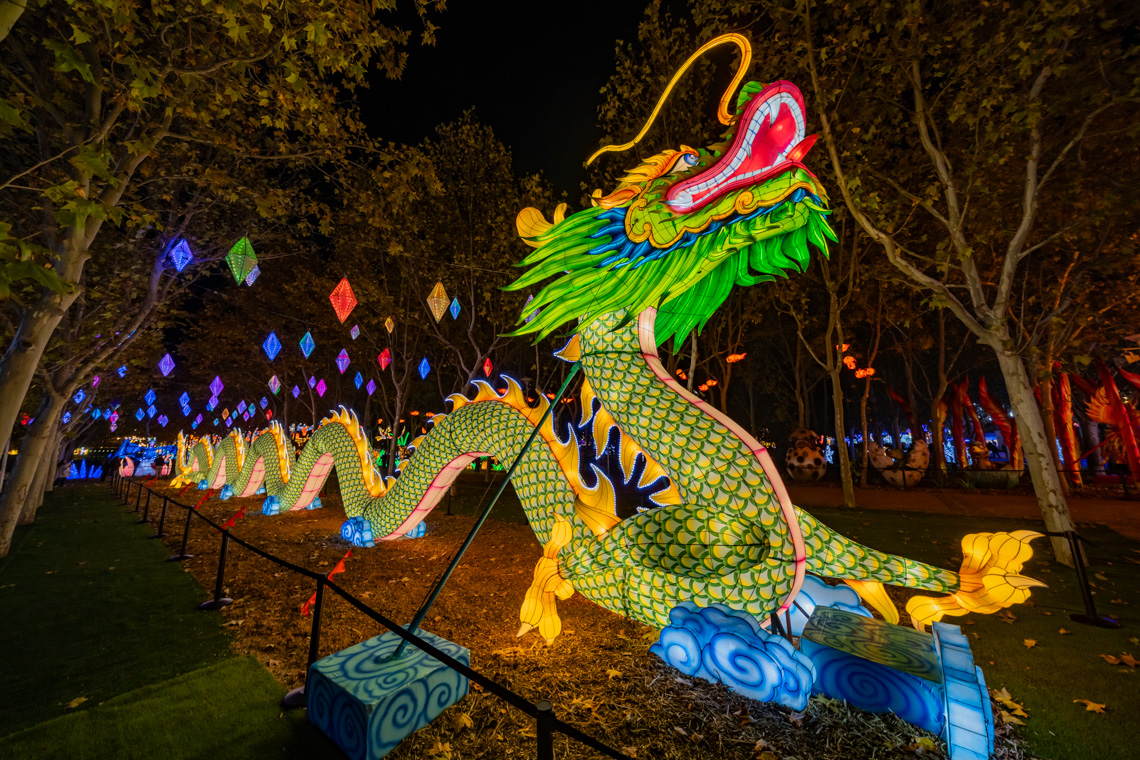 Explora un mundo de ensueño, donde animales brillantes iluminan la noche Explora un mundo de ensueño, donde animales brillantes iluminan la noche