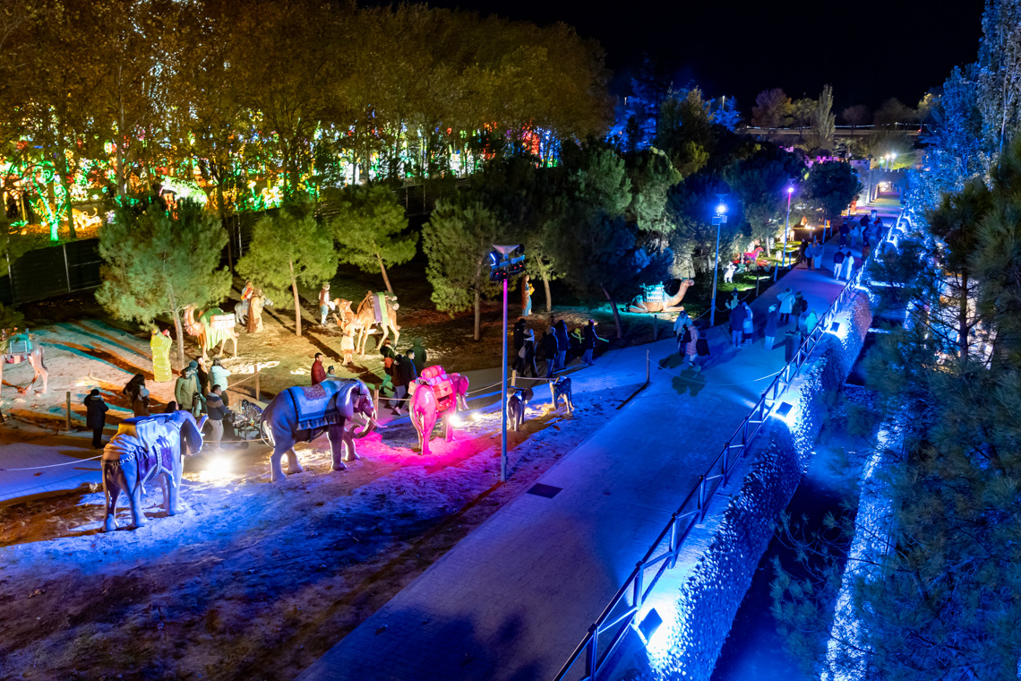 Explora un mundo de ensueño, donde animales brillantes iluminan la noche Explora un mundo de ensueño, donde animales brillantes iluminan la noche