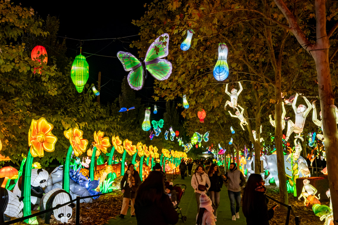 Explora un mundo de ensueño, donde animales brillantes iluminan la noche Explora un mundo de ensueño, donde animales brillantes iluminan la noche