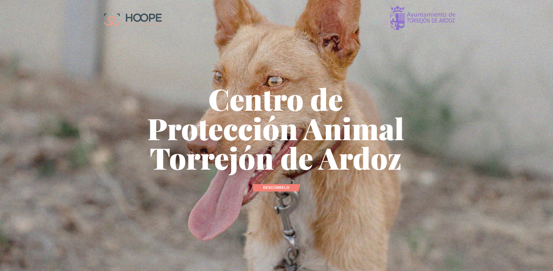 Centro de Protección Animal | Ayuntamiento de Torrejon