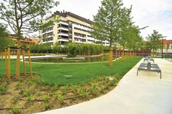 parque central 2