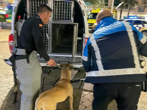 Unidad Canina de la Policía Local de Torrejón de Ardoz