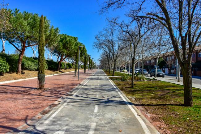 Ayto Torrejon-Parque Apolo 20190225-108