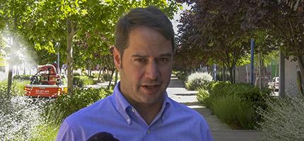 Campaña contra los mosquitos 