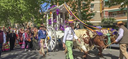 Romería de la Hermandad de Nuestra Señora del Rocío 