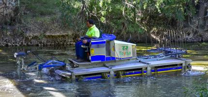 Barco anfibio que retira las plantas acuáticas donde se encuentran la mayoría de las larvas