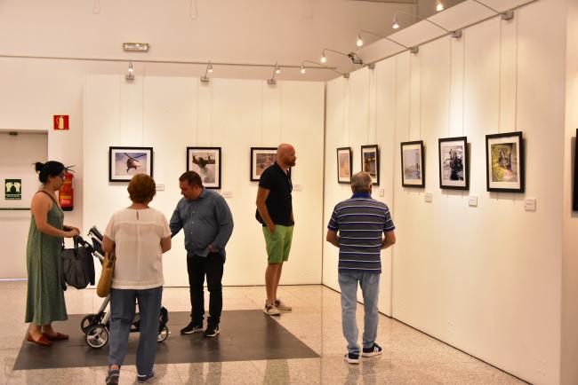 Exposición de fotografía “UME, voluntad invencible”