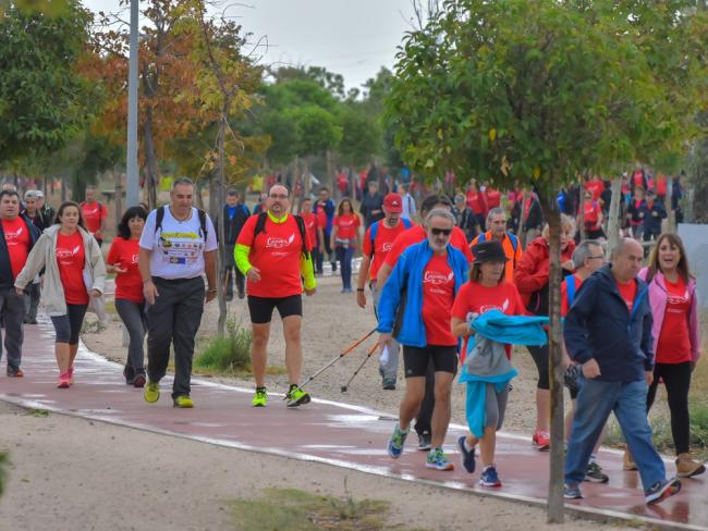 V Camino de Cervantes