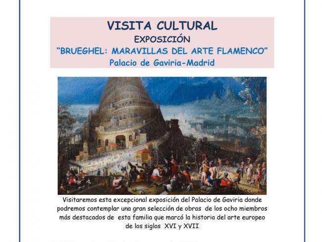 Visita Cultural