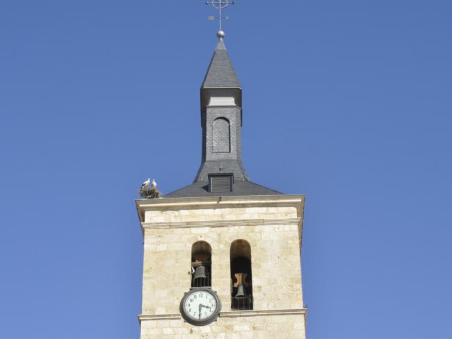 Las cigüeñas vuelven a la torre de la iglesia San Juan Evangelista tras finalizar las obras de rehabilitación realizadas por el Obispado