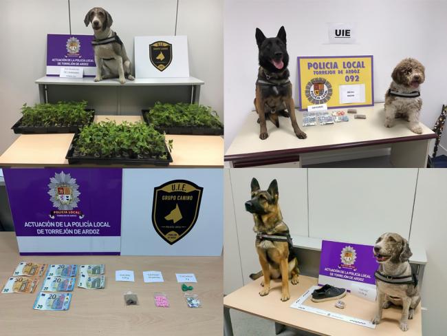 La Unidad Canina de la Policía Local de Torrejón ha detenido en los últimos meses a 5 individuos, incautándose de hachís, cocaína y plantas de marihuana