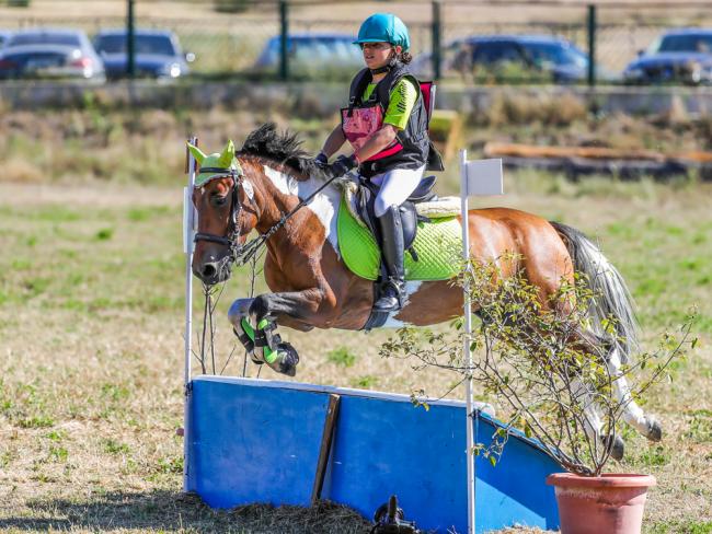 Campeonato de España de Ponis
