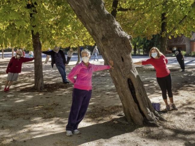 Gimnasia al aire libre para mayores