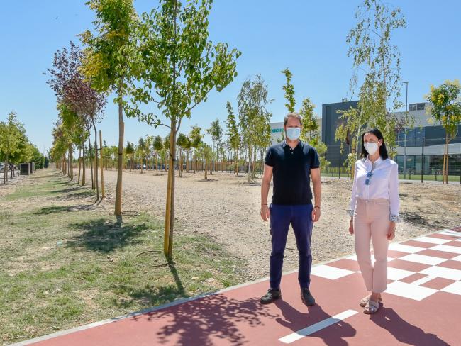 2ª fase del Pinar del Soto