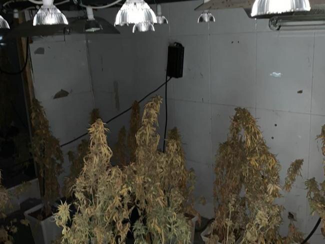 Policía Local de Torrejón 