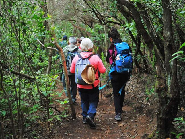 Actividades para los mayores