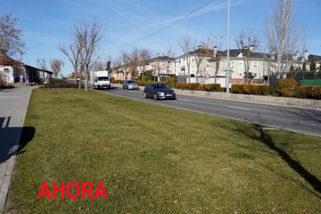 Creados 3.000 metros cuadrados de praderas