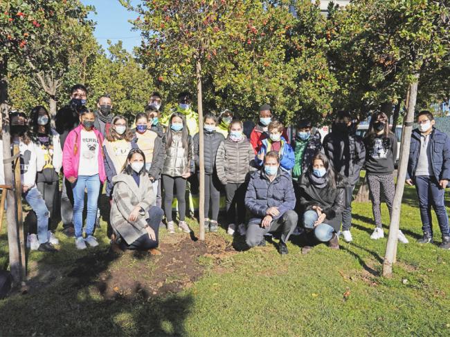 Torrejón de Ardoz conmemora el 43 aniversario de la Constitución española con la plantación de un nuevo madroño en el Parque Constitución 