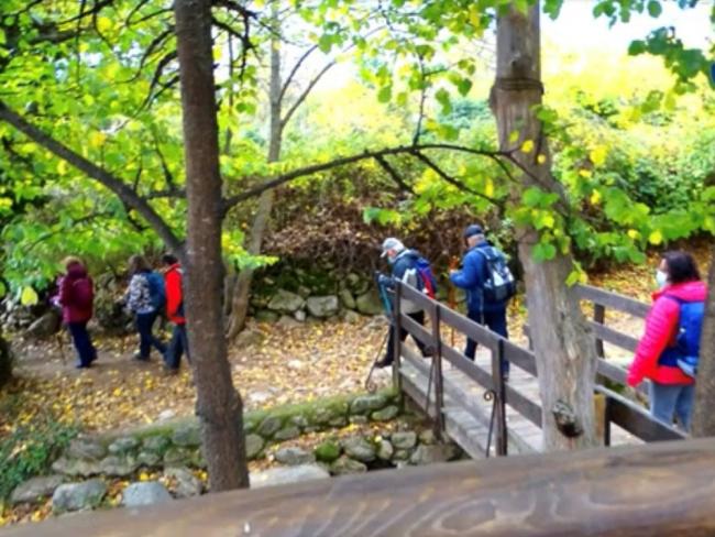 Servicios para mayores