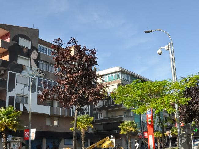 Gracias a las cámaras de seguridad con las que cuenta Torrejón de Ardoz, la Policía Local detiene a una mujer por tráfico de drogas