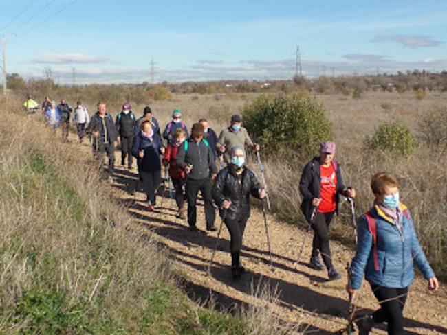 Continúan el programa de senderismo y los bailes, que se suman a los servicios de apoyo psicológico, fisioterapia, podología y peluquería que se ofrecen desde la Concejalía de Mayores del Ayuntamiento de Torrejón de Ardoz para su bienestar 