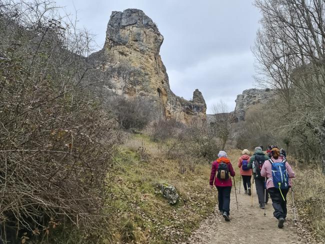 Continúan el programa de senderismo y los bailes, que se suman a los servicios de apoyo psicológico, fisioterapia, podología y peluquería que se ofrecen desde la Concejalía de Mayores del Ayuntamiento de Torrejón de Ardoz para su bienestar 